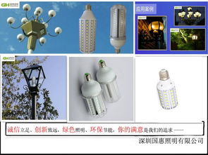國惠高端20w節(jié)能玉米燈綠色照明燈具產品的資料 中國照明網