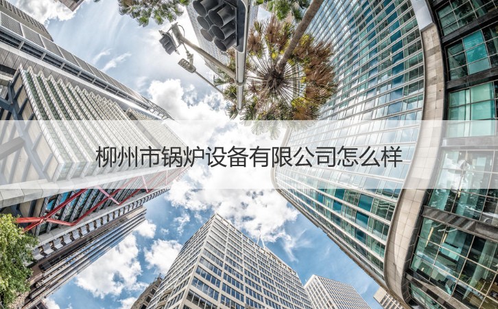 柳州的產(chǎn)業(yè)機(jī)遇 鍋爐設(shè)備、就業(yè)環(huán)境與針紡原料銷售分析